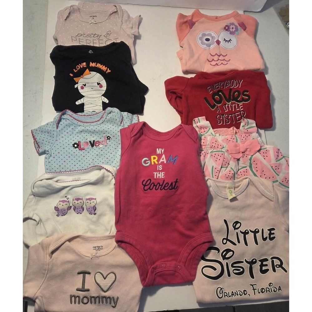 Baby Girls 3 Month Clothes Lot Of 10 Including Carters